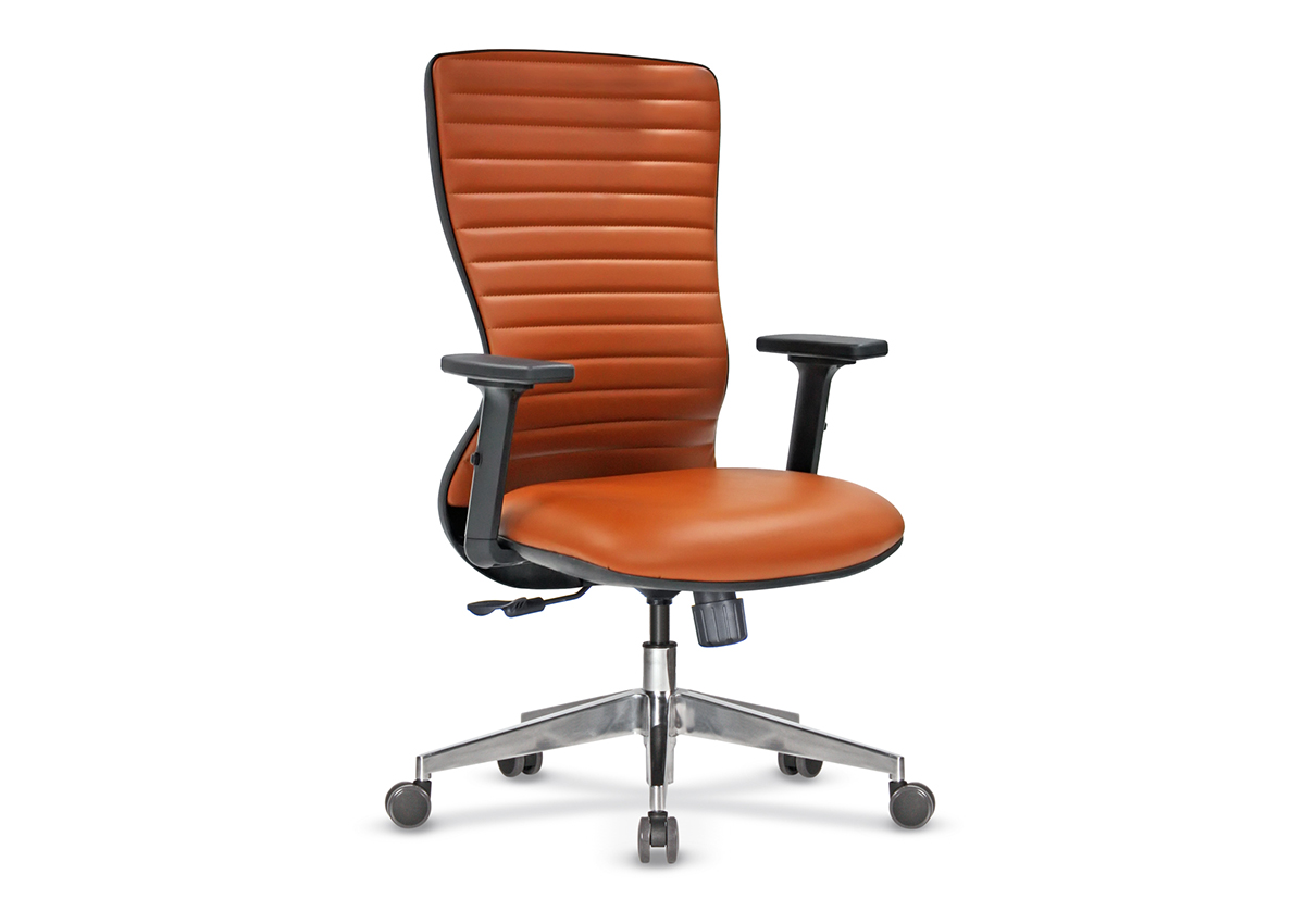 Arya D Çalışma Koltuğu